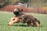 BRIARD 149